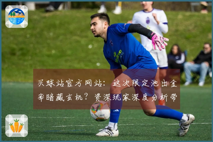 买球站官方网站：这次限定池出金率暗藏玄机？资深玩家深度分析带来新思路