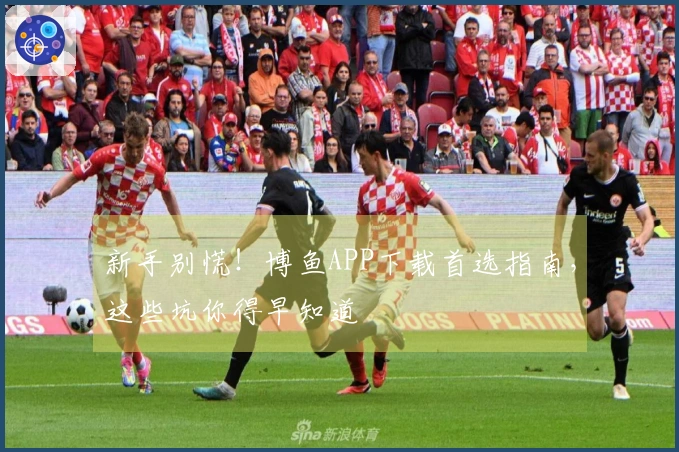 新手别慌！博鱼APP下载首选指南，这些坑你得早知道