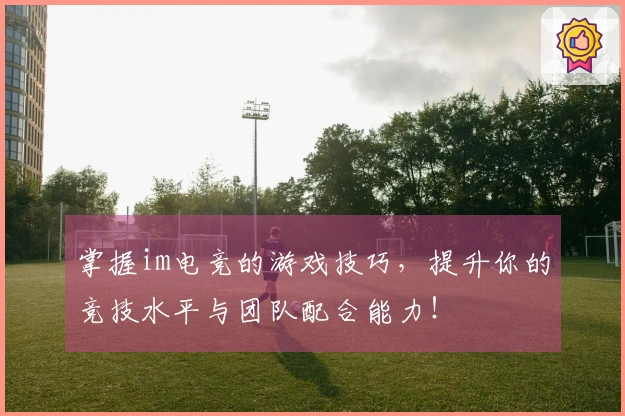 掌握im电竞的游戏技巧，提升你的竞技水平与团队配合能力！