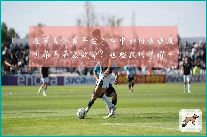 在英皇体育平台入口中如何快速提升角色养成效率?这些技巧值得一试!