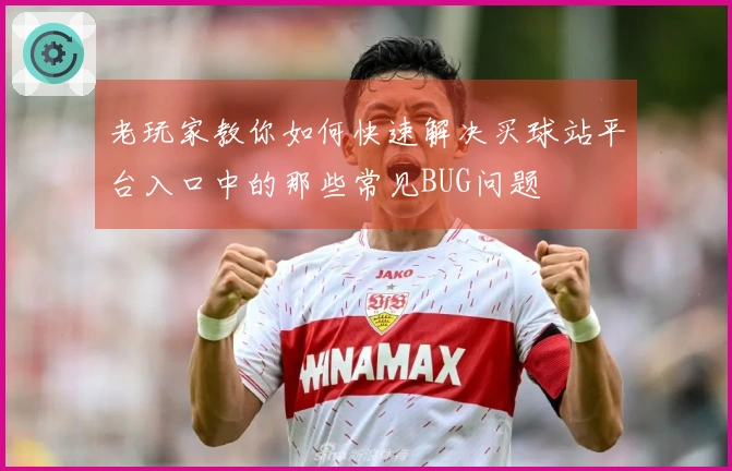 老玩家教你如何快速解决买球站平台入口中的那些常见BUG问题